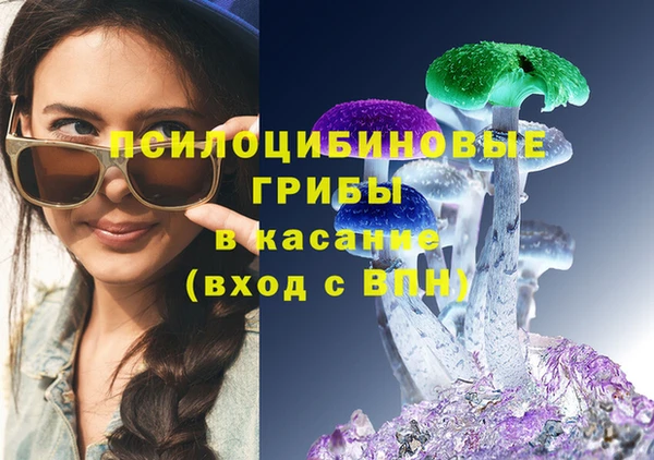 гидра Кукмор
