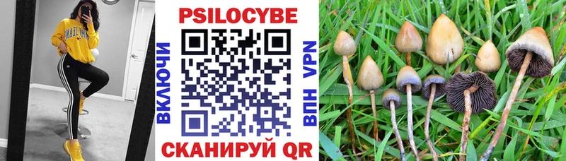 Купить  Заречный  Галлюциногенные грибы ЛСД 